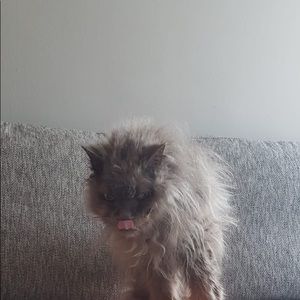 Meet your Posher, Madison